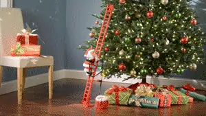 Climbing Santa Claus