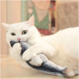 Electric fish funny cat simulation fish