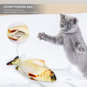 Electric fish funny cat simulation fish