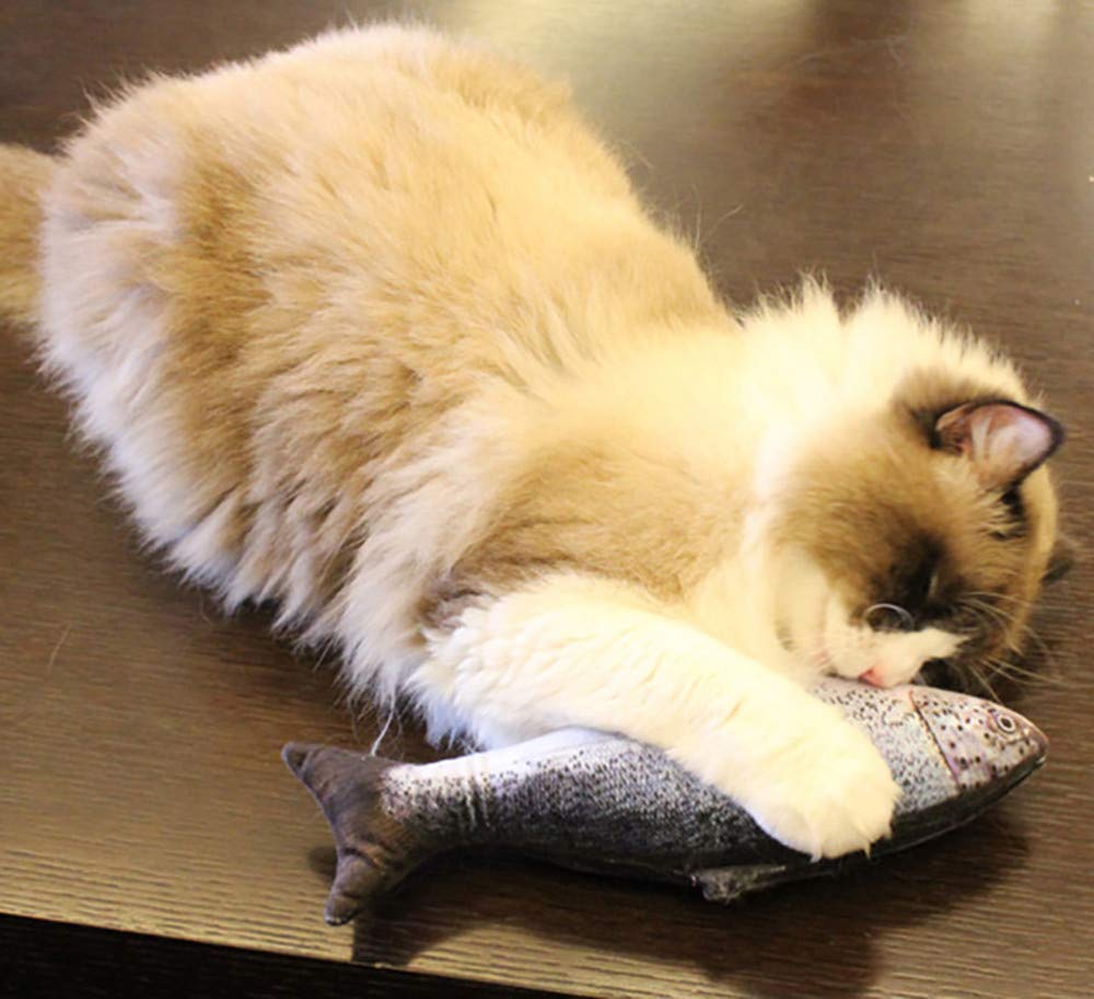 Electric fish funny cat simulation fish