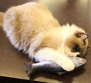Electric fish funny cat simulation fish