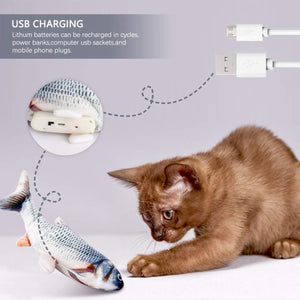 Electric fish funny cat simulation fish