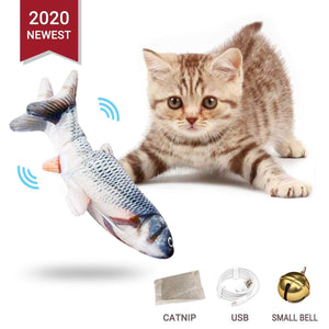 Electric fish funny cat simulation fish