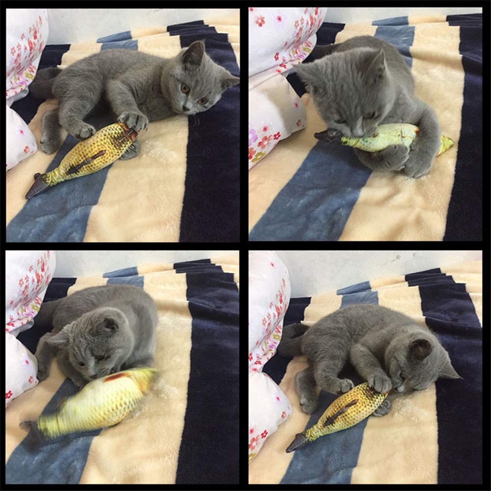 Electric fish funny cat simulation fish