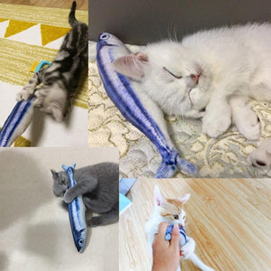 Electric fish funny cat simulation fish