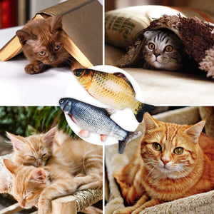 Electric fish funny cat simulation fish