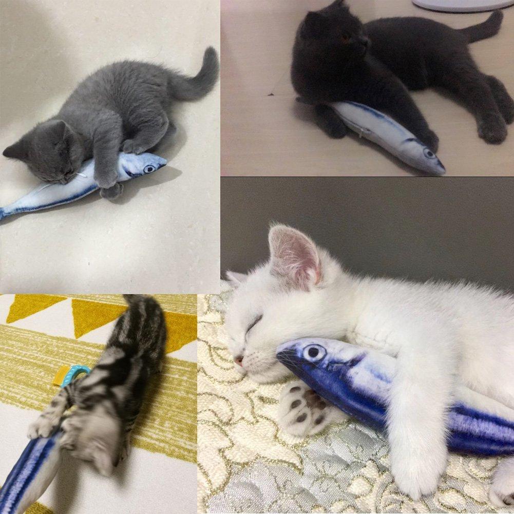 Electric fish funny cat simulation fish