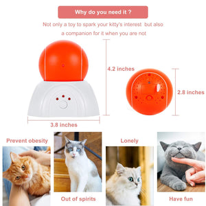 Laser LED Cat Toy Electric Ball