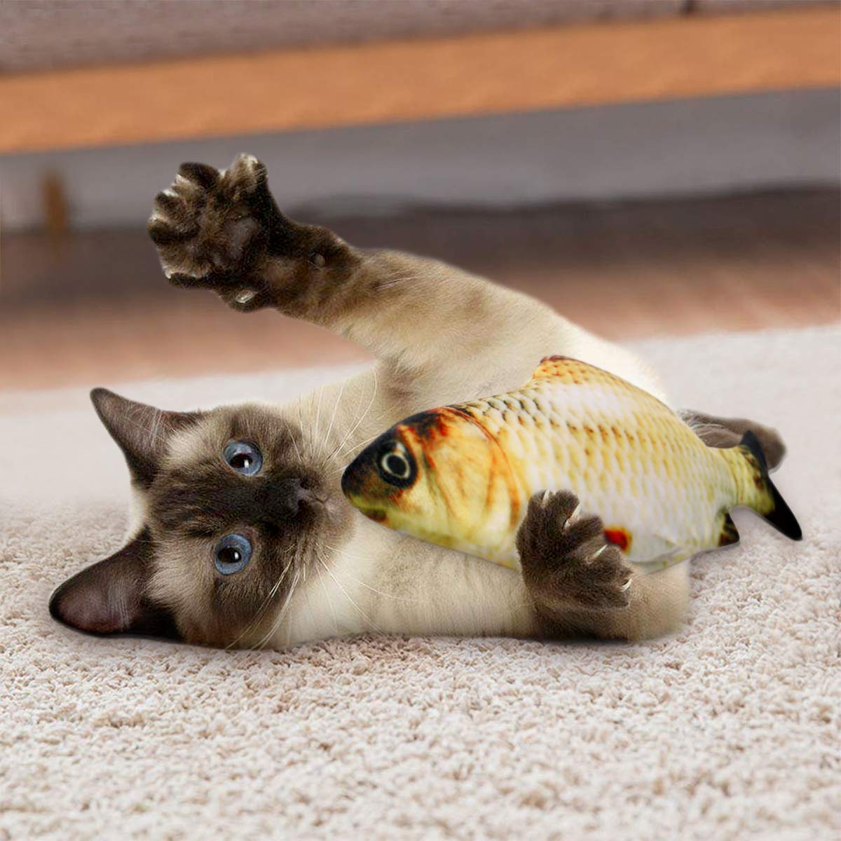 Electric fish funny cat simulation fish