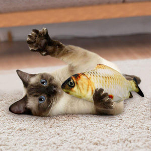 Electric fish funny cat simulation fish