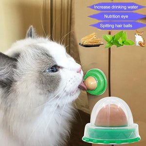 Cat Snacks Solid Nutrition Energy Ball Toys