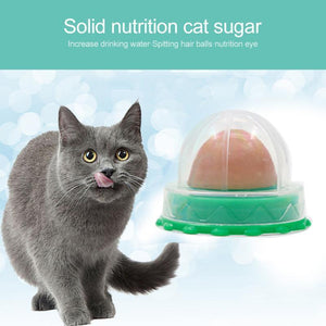 Cat Snacks Solid Nutrition Energy Ball Toys