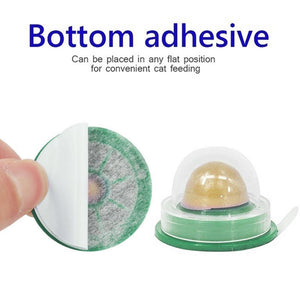 Cat Snacks Solid Nutrition Energy Ball Toys