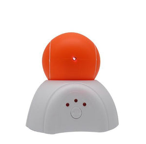Laser LED Cat Toy Electric Ball